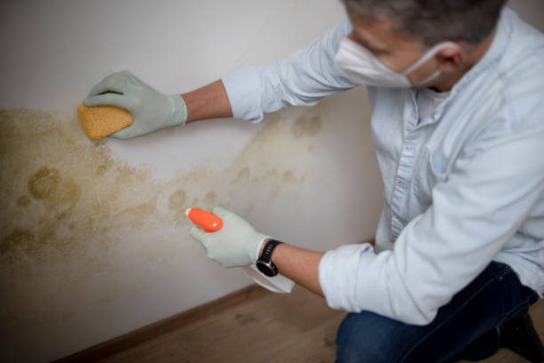 Best Crawl Space Mold Removal  in Sandy Springs, SC